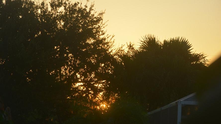 WINK WEATHER WATCHERS. 9-25-25