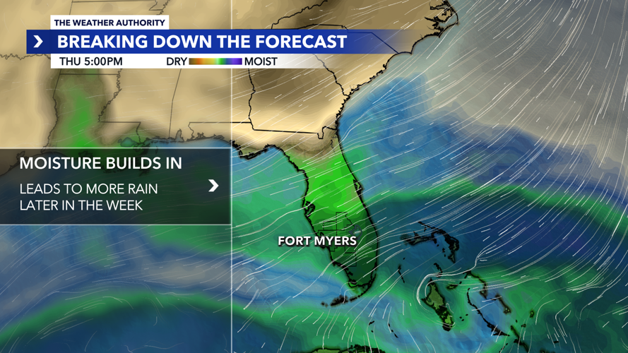 forecast